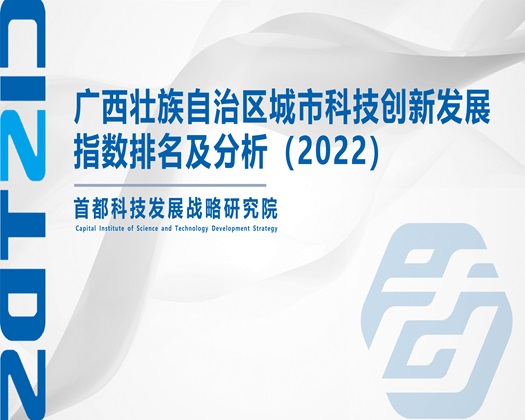 大鸡巴操逼会员免费试看91【成果发布】广西壮族自治区城市科技创新发展指数排名及分析（2022）